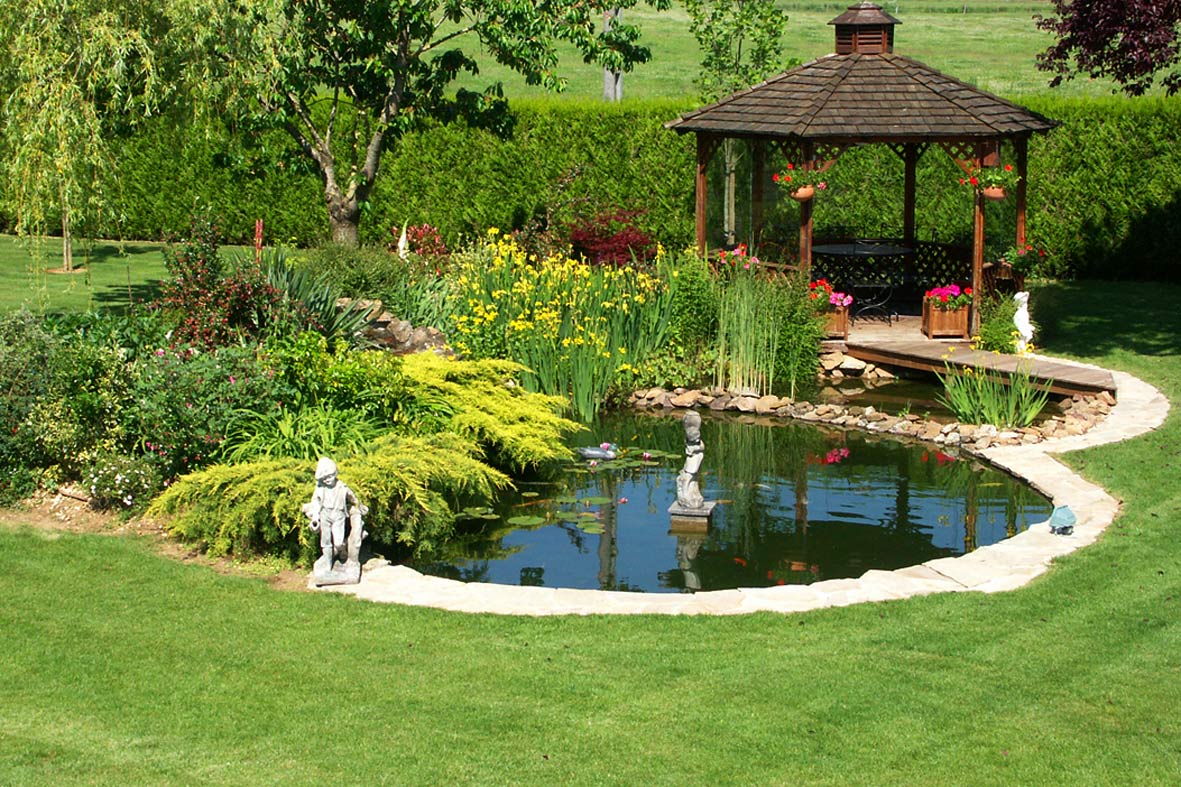 bassin-jardin